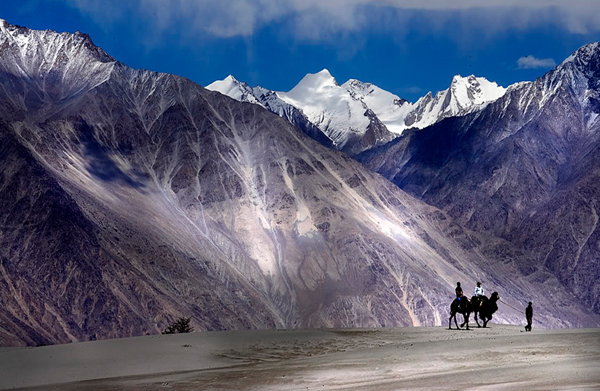 Valley of Flowers (Nubra Valley)